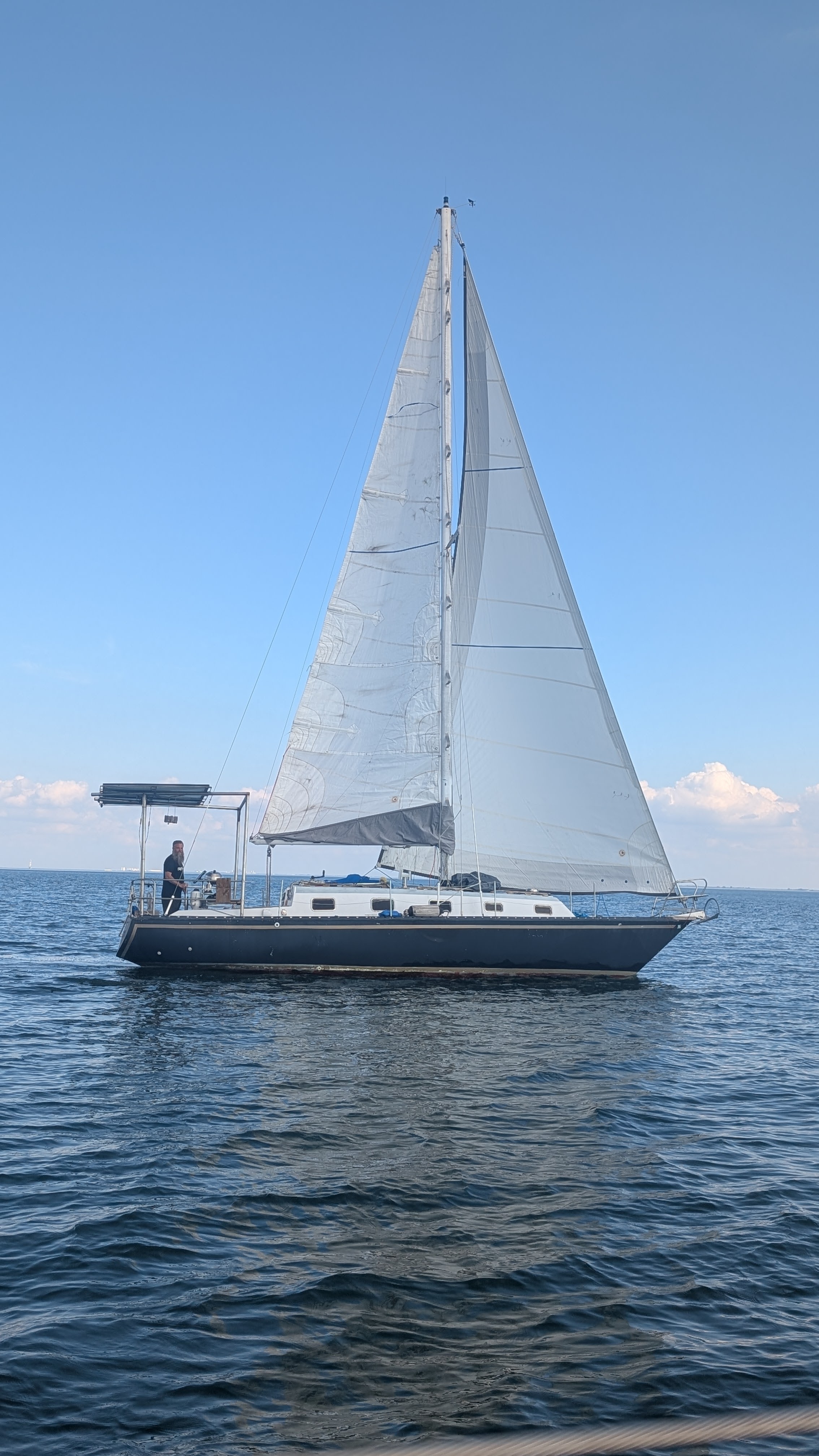 A very accurate self-portrait